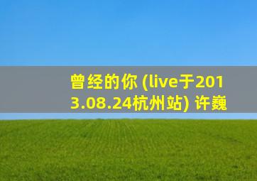 曾经的你 (live于2013.08.24杭州站) 许巍